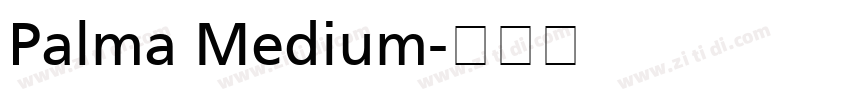 Palma Medium字体转换